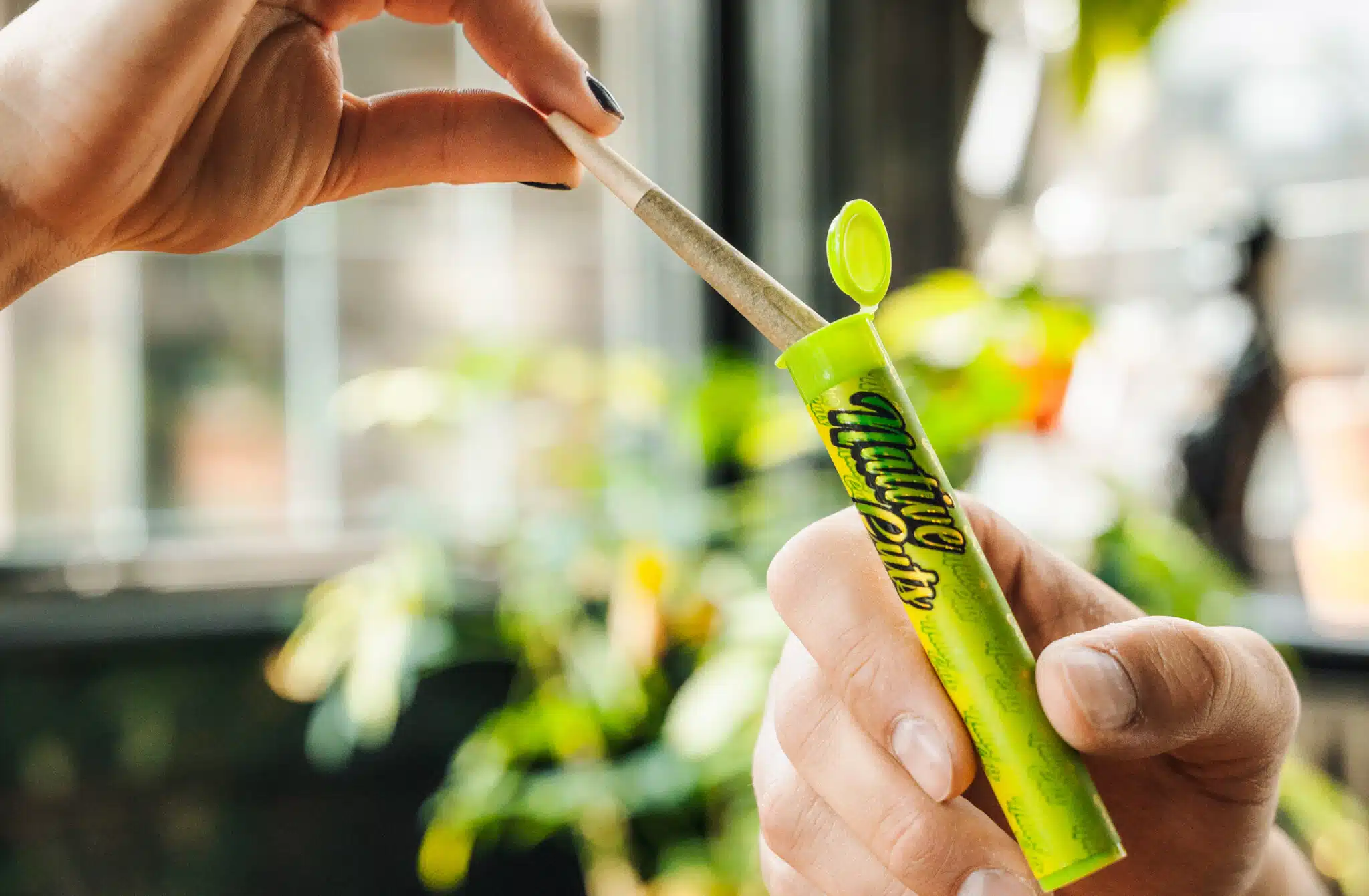 Transparent Processes - Standardized Cultivation Process Records