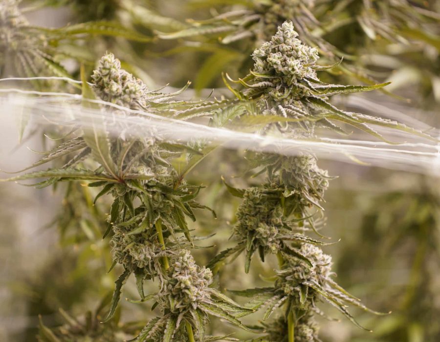 Compliant Waste Handling