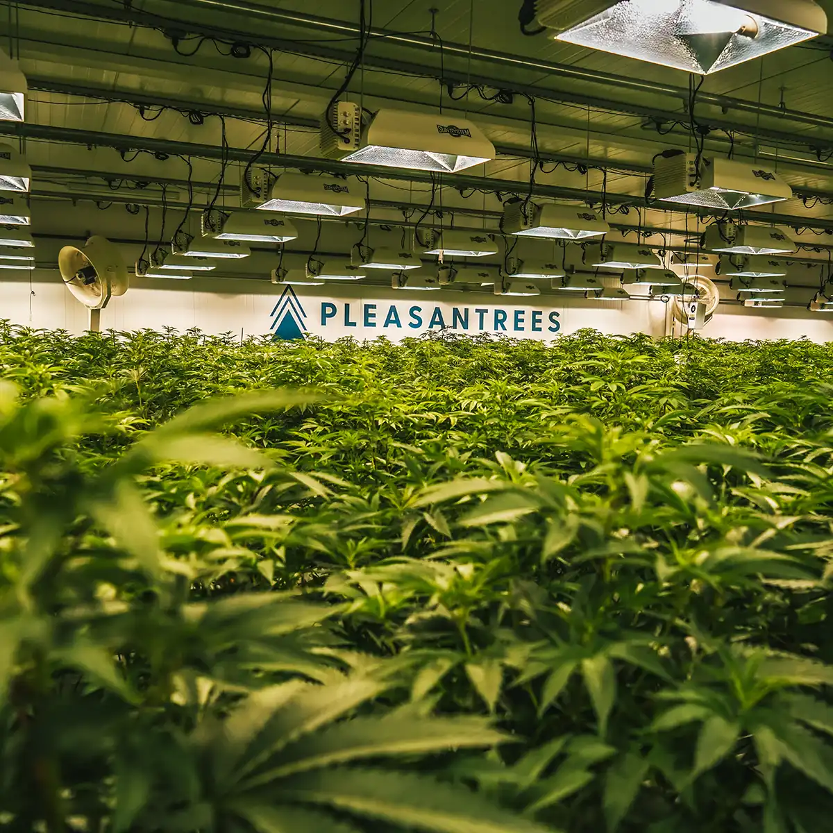 Transparent, Documented Workflow