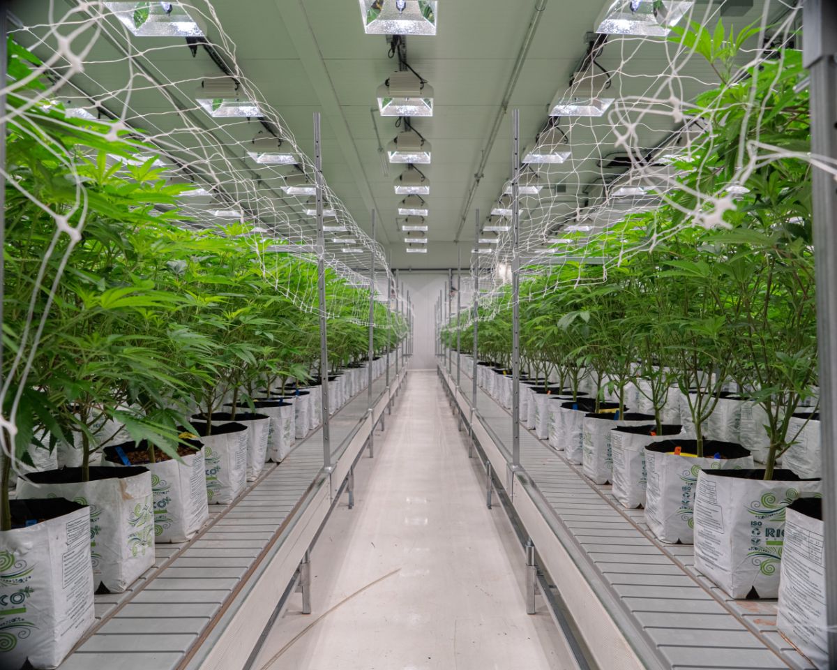 Modern Indoor Facility